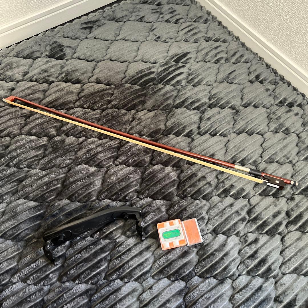 【美品｜ケース付】HALLSTATT ハルシュタット V-12