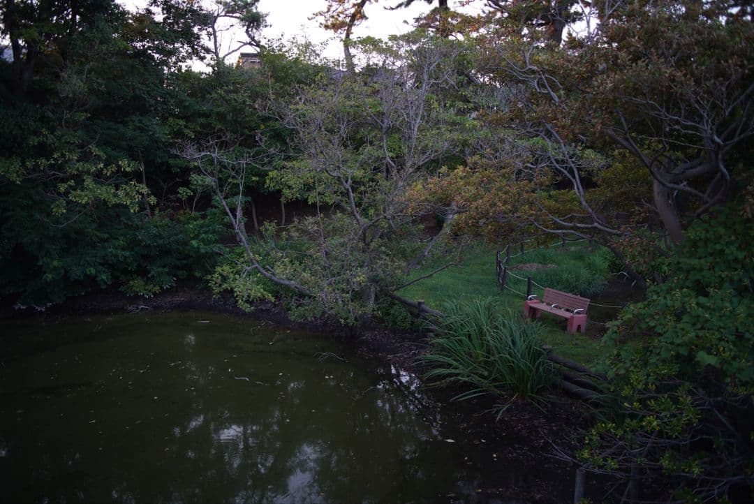 【動作確認済美品】YASHICA ML 28mm f2.8 初期保証付