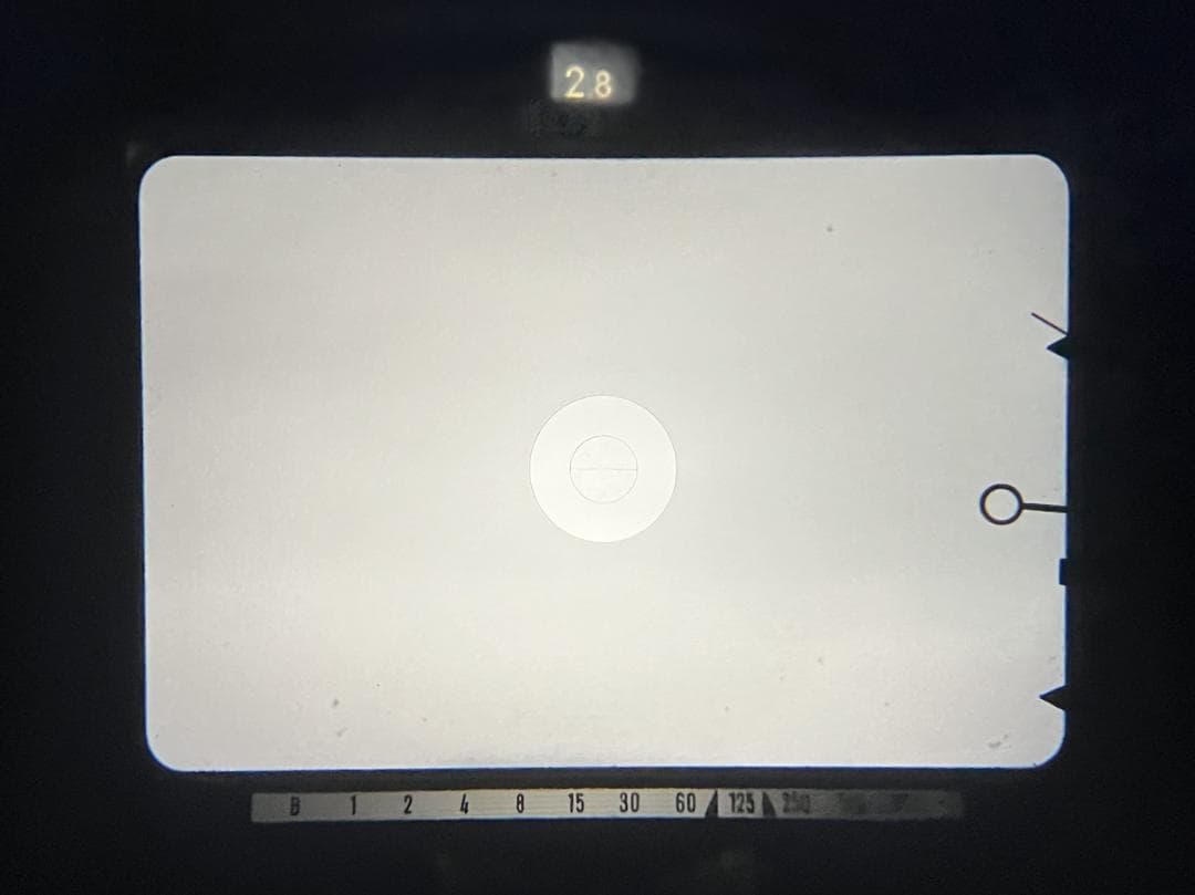 ミノルタ SR505 & MC ROKKOR-PF 50mm F1.7 #06