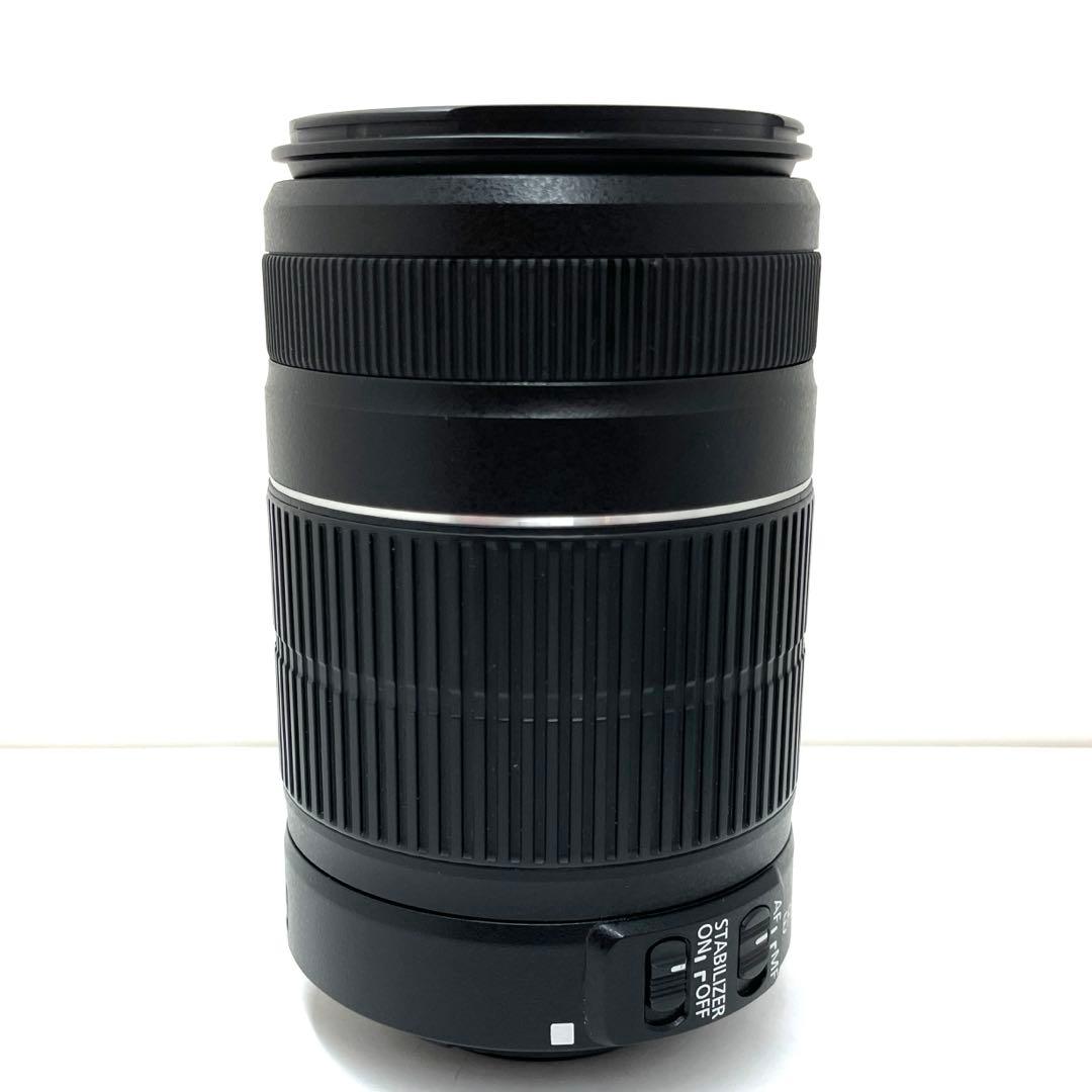 Canon EF-S55-250mm F4-5.6 IS II 望遠ズームレンズ