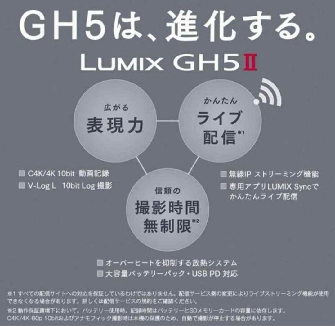 LUMIX GH5 II デジタル一眼レフ 本体標準ズームレンズキット