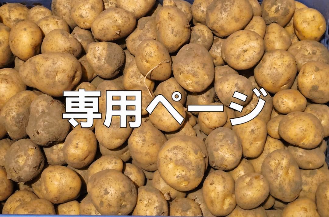 くまちゃんページ　ながさき黄金15kg
