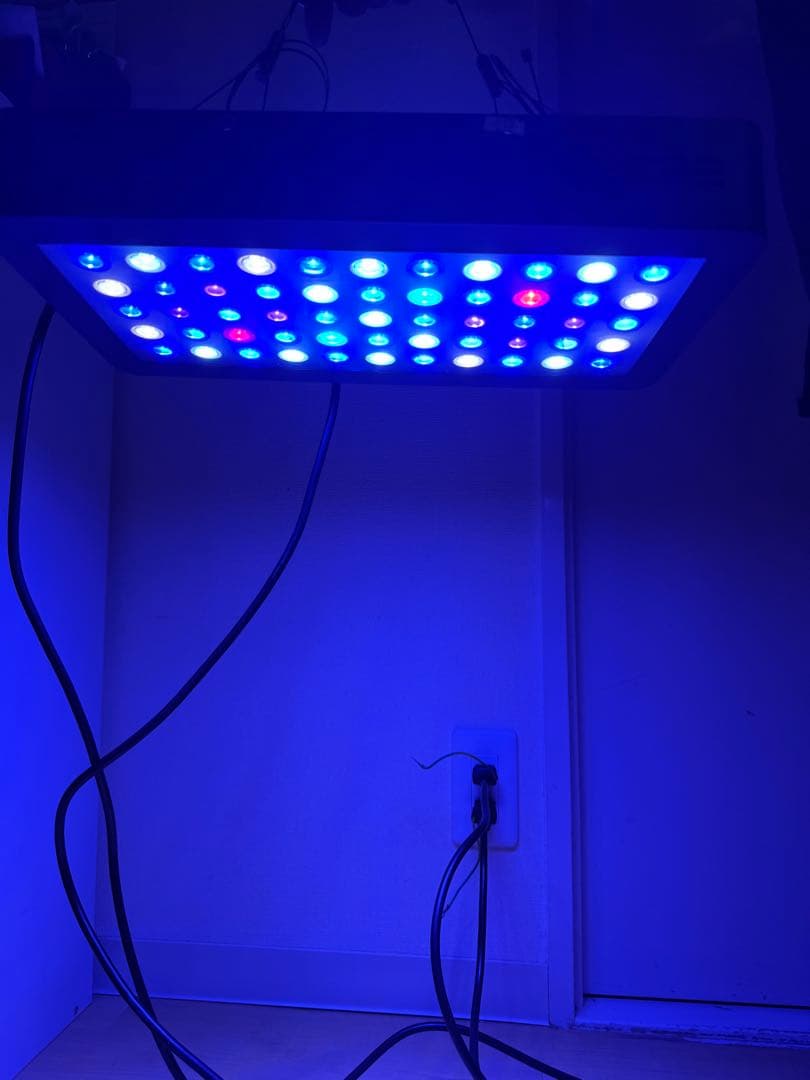 LEDサンゴ育成ライト 55個搭載