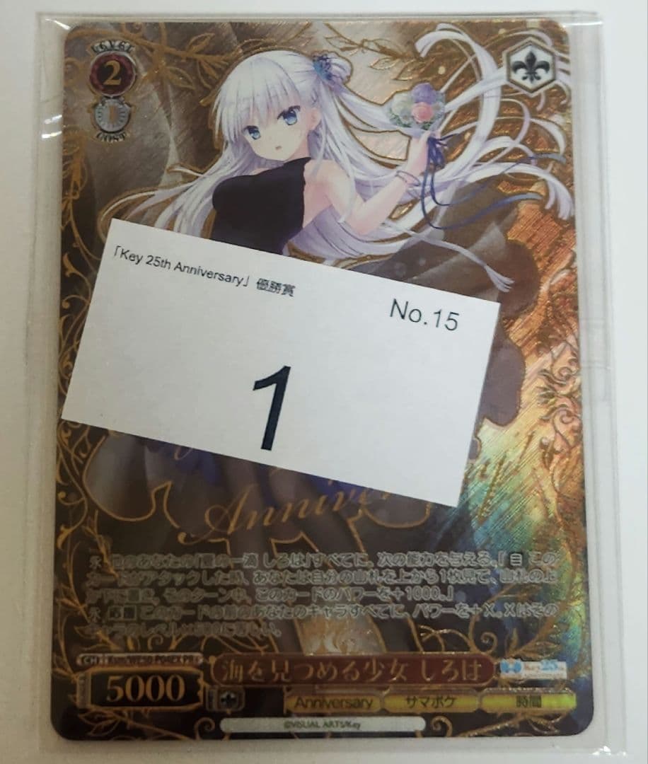 ヴァイス　海を見つめる少女しろは PR+ CXチャレンジ