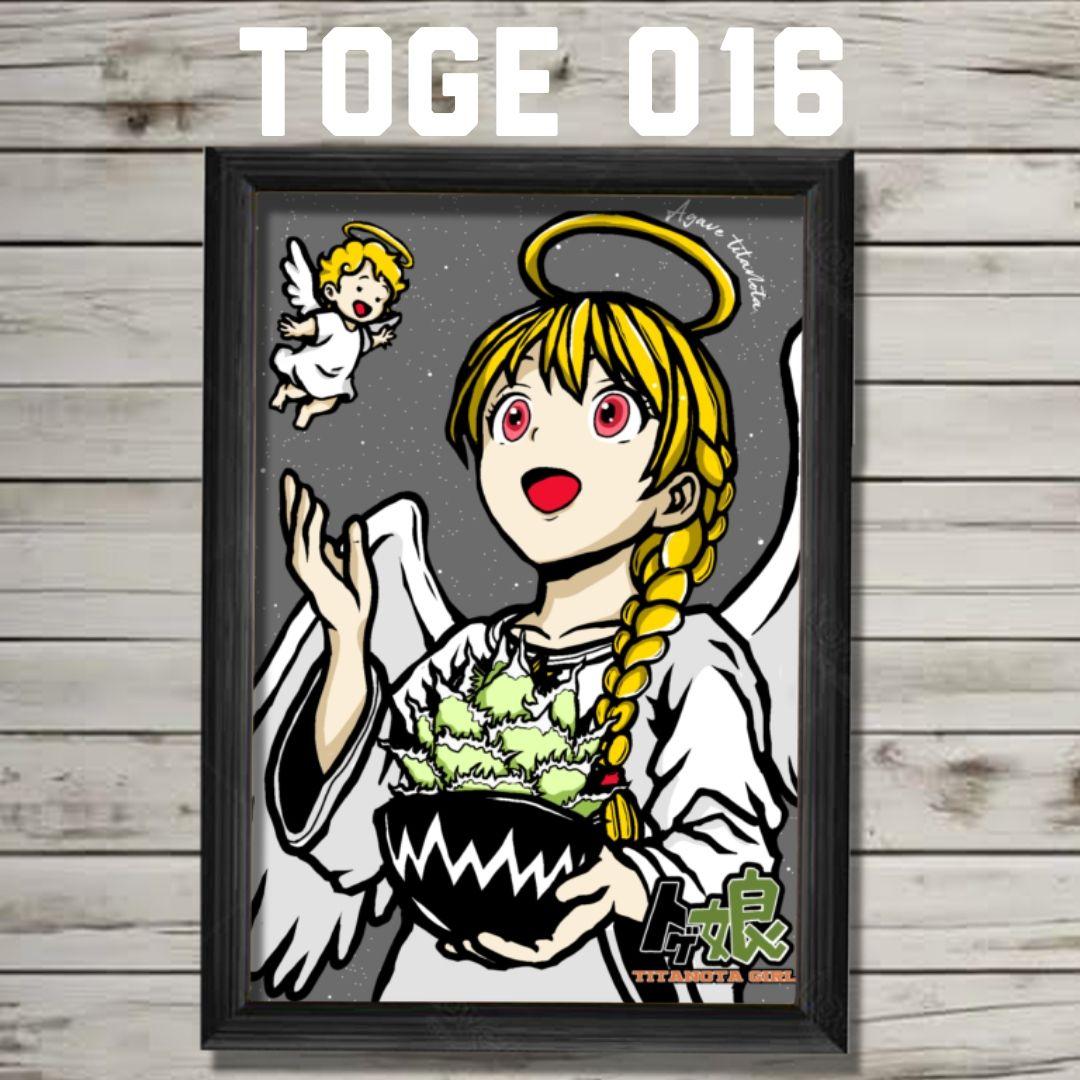 【特】棘福袋16枚セットまさ02