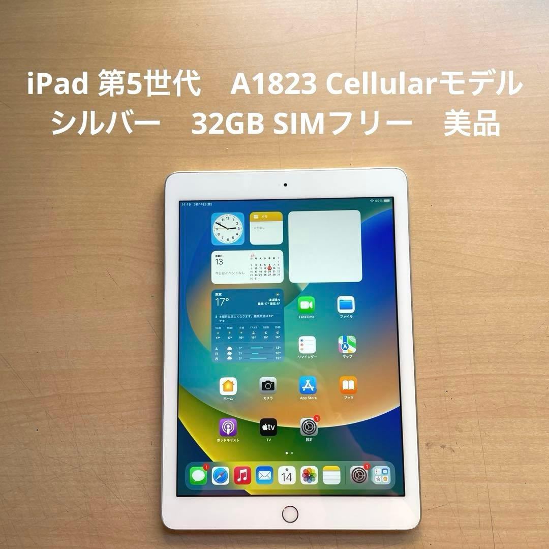 iPad 第5世代　A1823 Cellular シルバー　32GB 美品