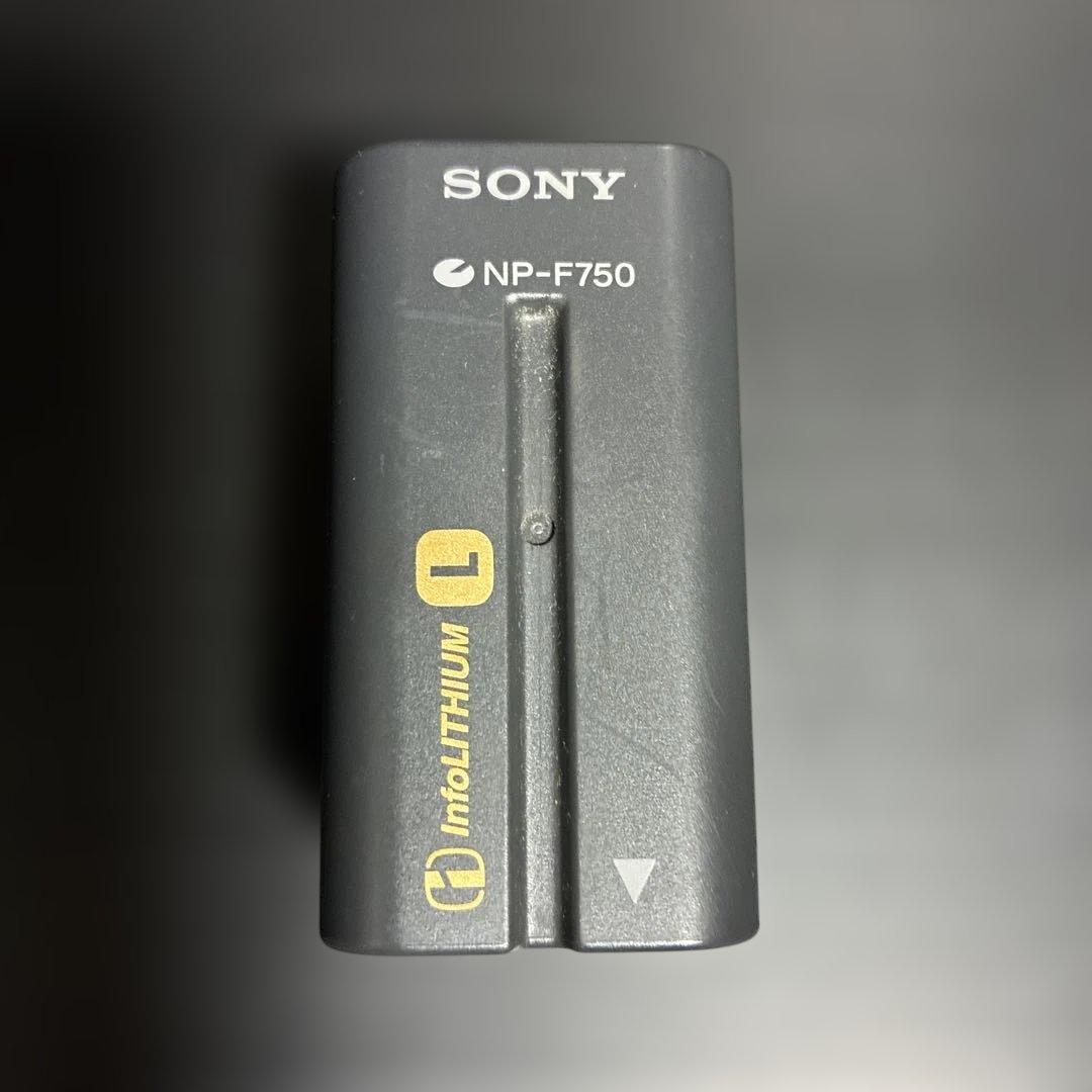 SONY GV-D200 デジタルビデオカセットレコーダ【動作確認済】付属品多数