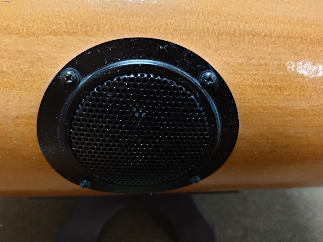 【最終価格】エムズシステム 波動スピーカー　ドコデモ5.0　2点セット