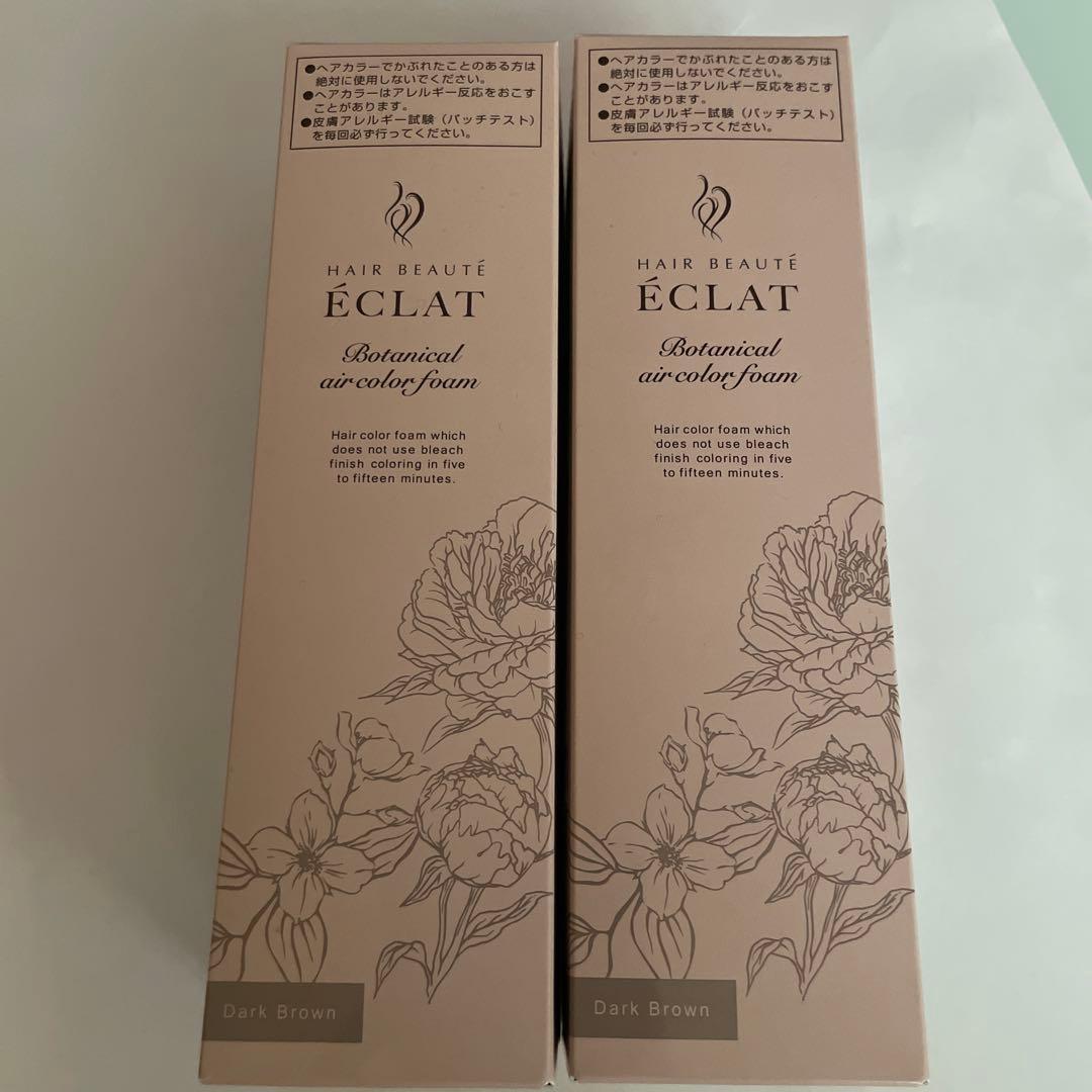 ヘアボーテエクラボタニカルエアカラーフォームup 150g×2