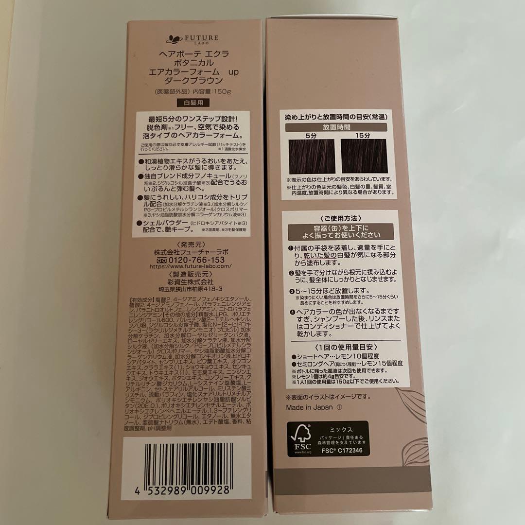 ヘアボーテエクラボタニカルエアカラーフォームup 150g×2