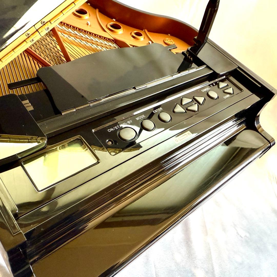 グランドピアニストGrandPianist&葉加瀬太郎セレクトSDカードset