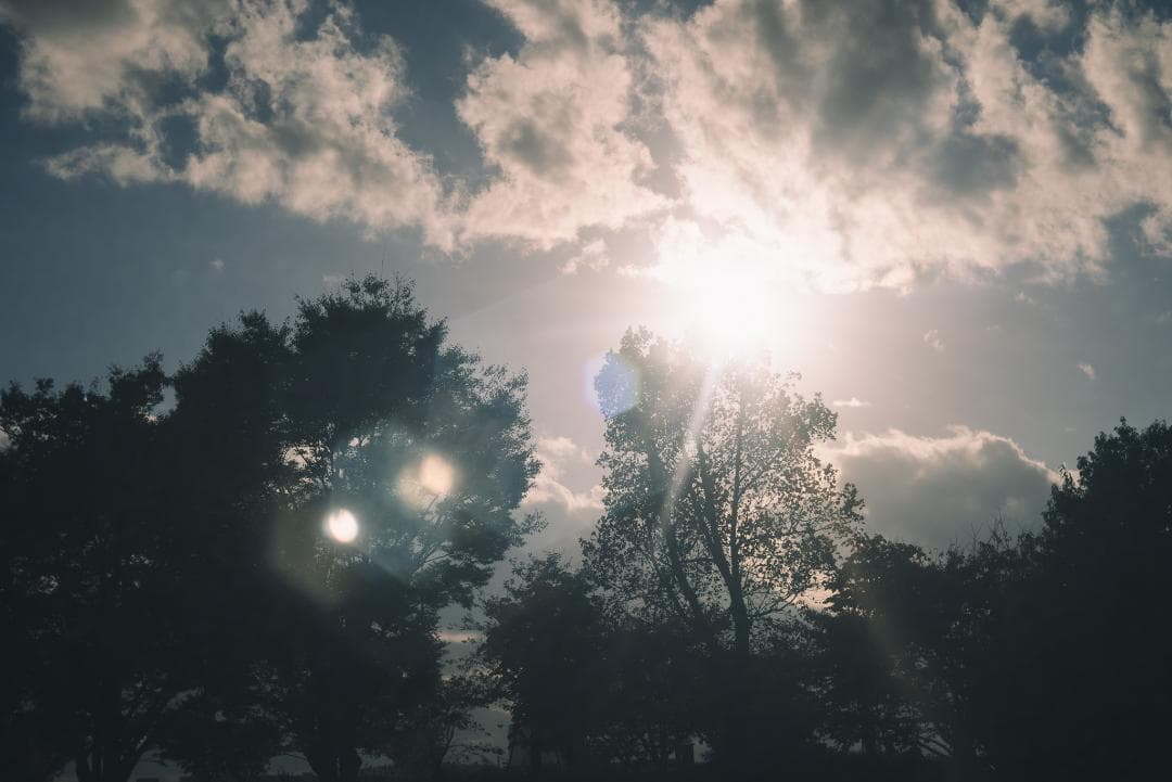 虹の出る癖玉！Leica Blue coated Summar 50mm F2