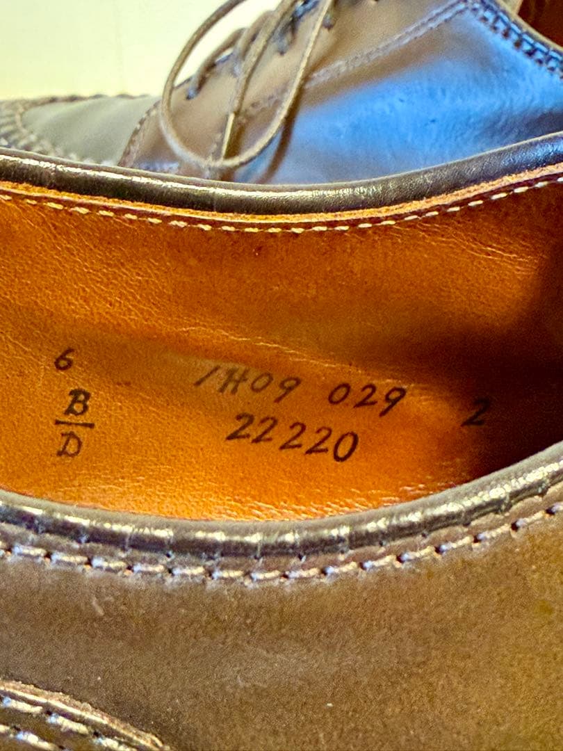 オールデン シガーコードバン Uーチップ 22220 6D