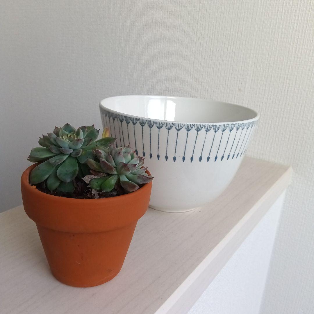 ARABIA　ヘイニ　Heini ボウル　希少