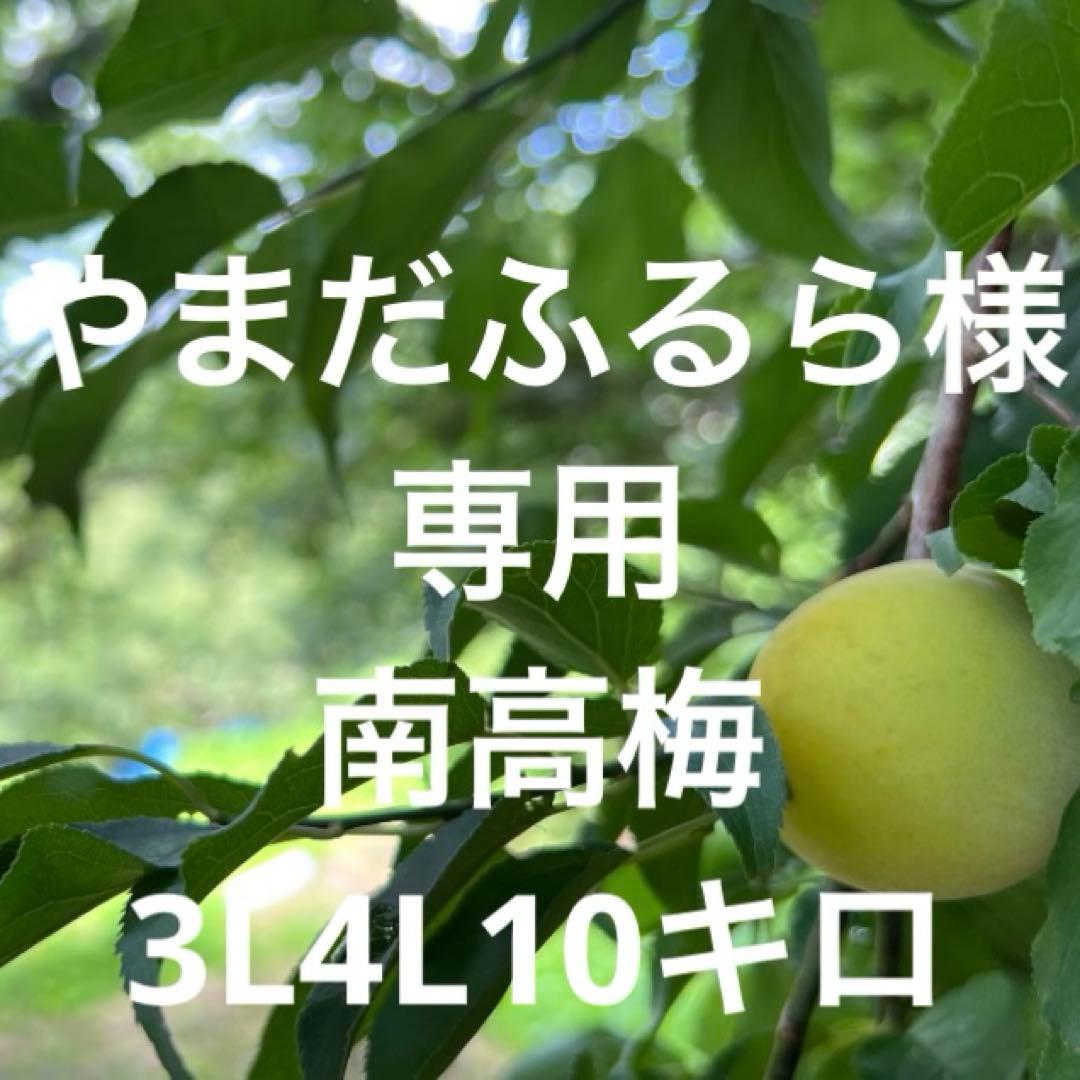 やまだふるら南高梅3L4L混合10キロ