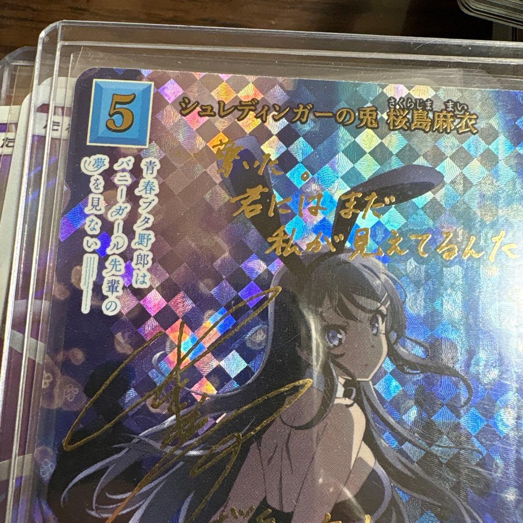 シュレディンガーの兎　桜島麻衣　ビルディバイド