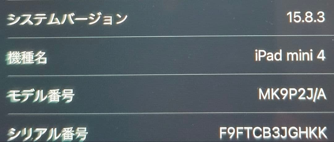 Apple iPad mini 4 Wi-Fiモデル 128GB シルバー