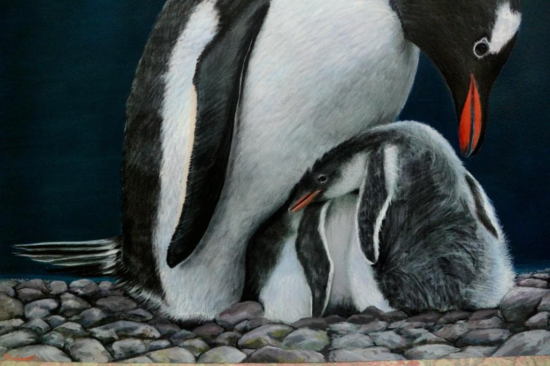 明太ヤキソバ様用　絵画