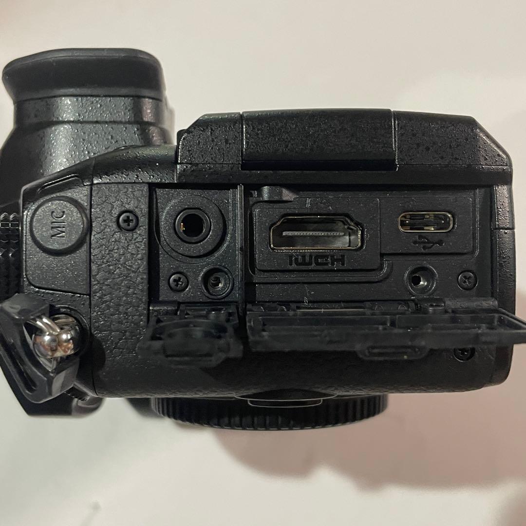 美品 ショット数172回 LUMIX GH5 バッテリー2個充電器