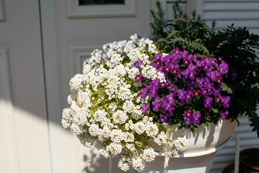 フィルムカメラ PENTAX SMC TAKUMAR f1.4 50mm M42 L79