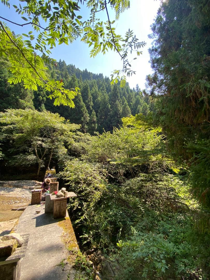 ハチミツ　日本蜜蜂の蜂蜜　奥山の奥