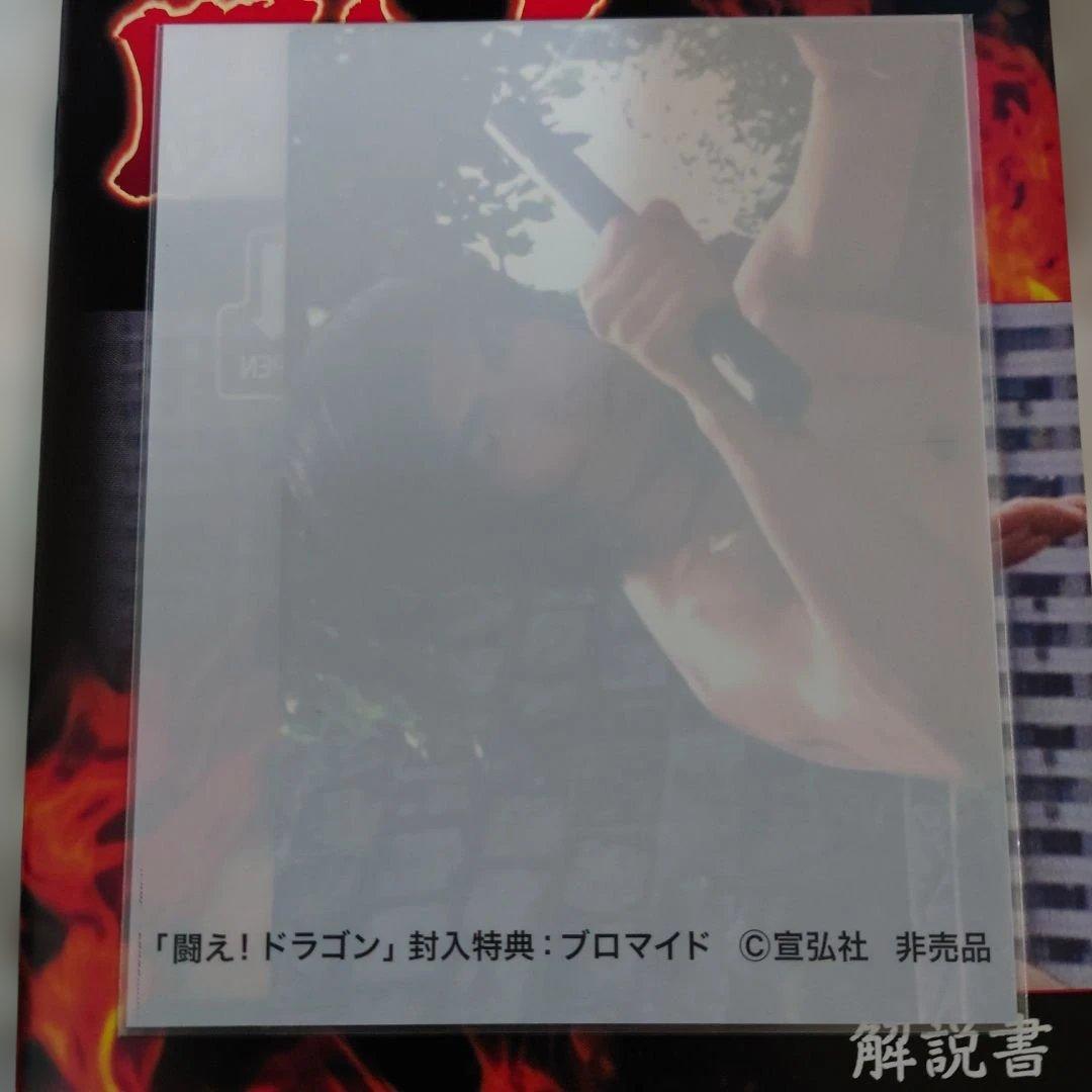 闘え!ドラゴン DVD-BOX