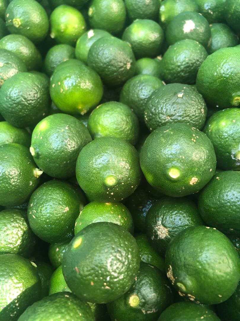 沖縄県産シークワーサー‼️20キロ送料込‼️