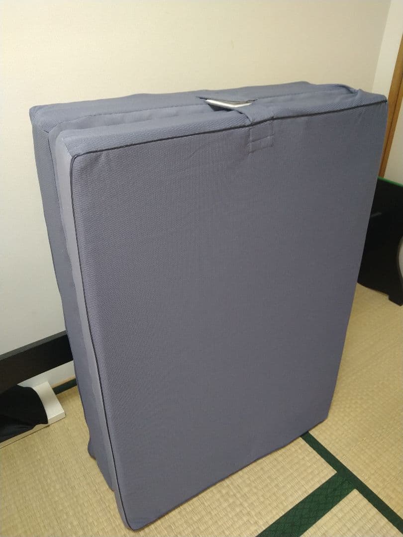 【いおり】ムアツ布団 2フォーム 110NT