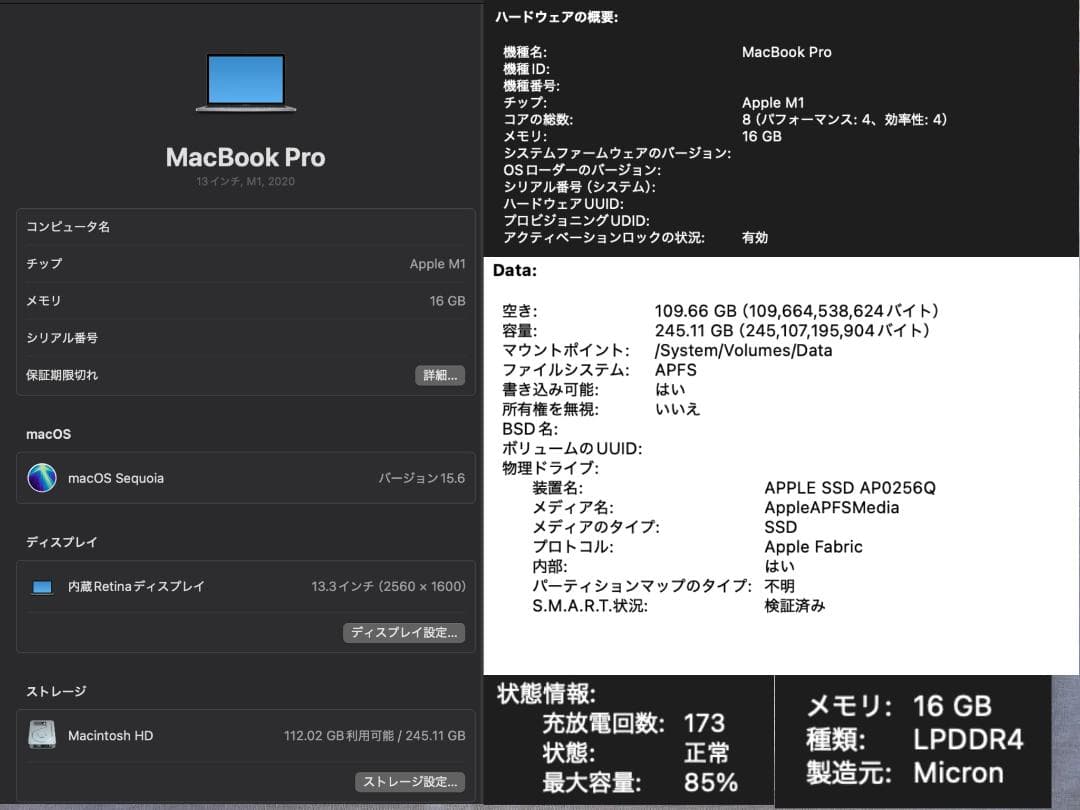 MacBook Pro (13inch, M1, 2020)16GB、256GB