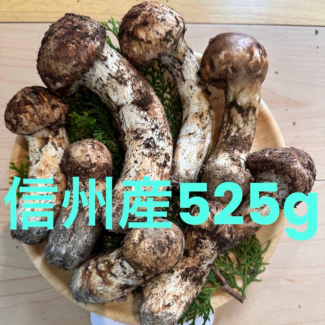 信州産松茸525g