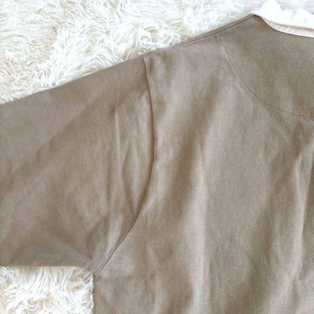 新品　スピックアンドスパン 23秋冬 ラガーシャツ　ロンT フリーサイズ