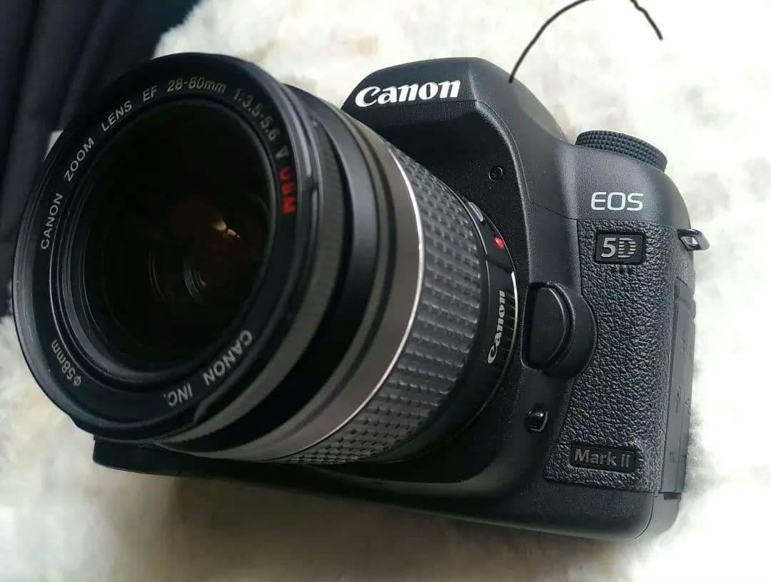 Canon EOS 5D Mark II　レンズ付き　シャッター回数少なめ！美品