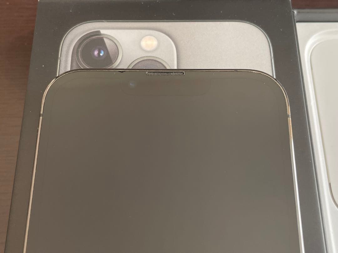 Apple iPhone 13 Pro 256GB グラファイト