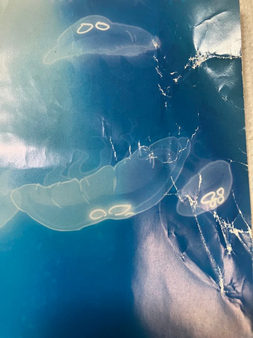 青ブタ アニメ一期 販促ポスター 非売品