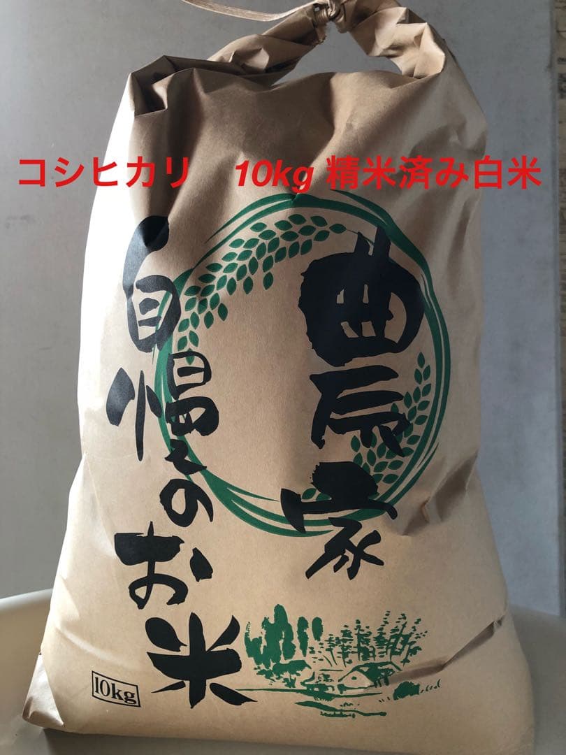 2025年収穫　コシヒカリ10キ精米済み白米　三重県産