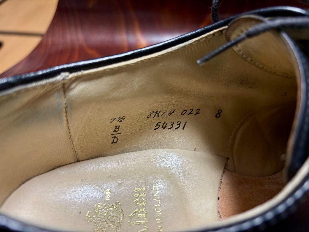 Alden オールデン 54331 コードバン Vチップ