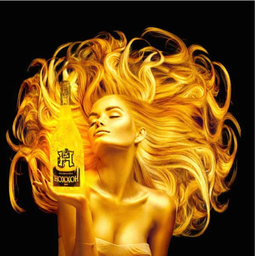 HOXXOH オックス ルビー 音に反応して7色に光るシャンパン 化粧箱　未開栓