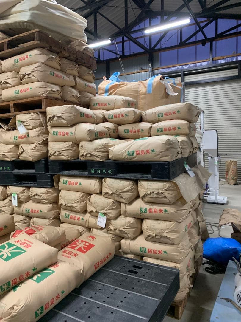 コシヒカリ　令和７年産　玄米30ｋｇ　引き取りのみ