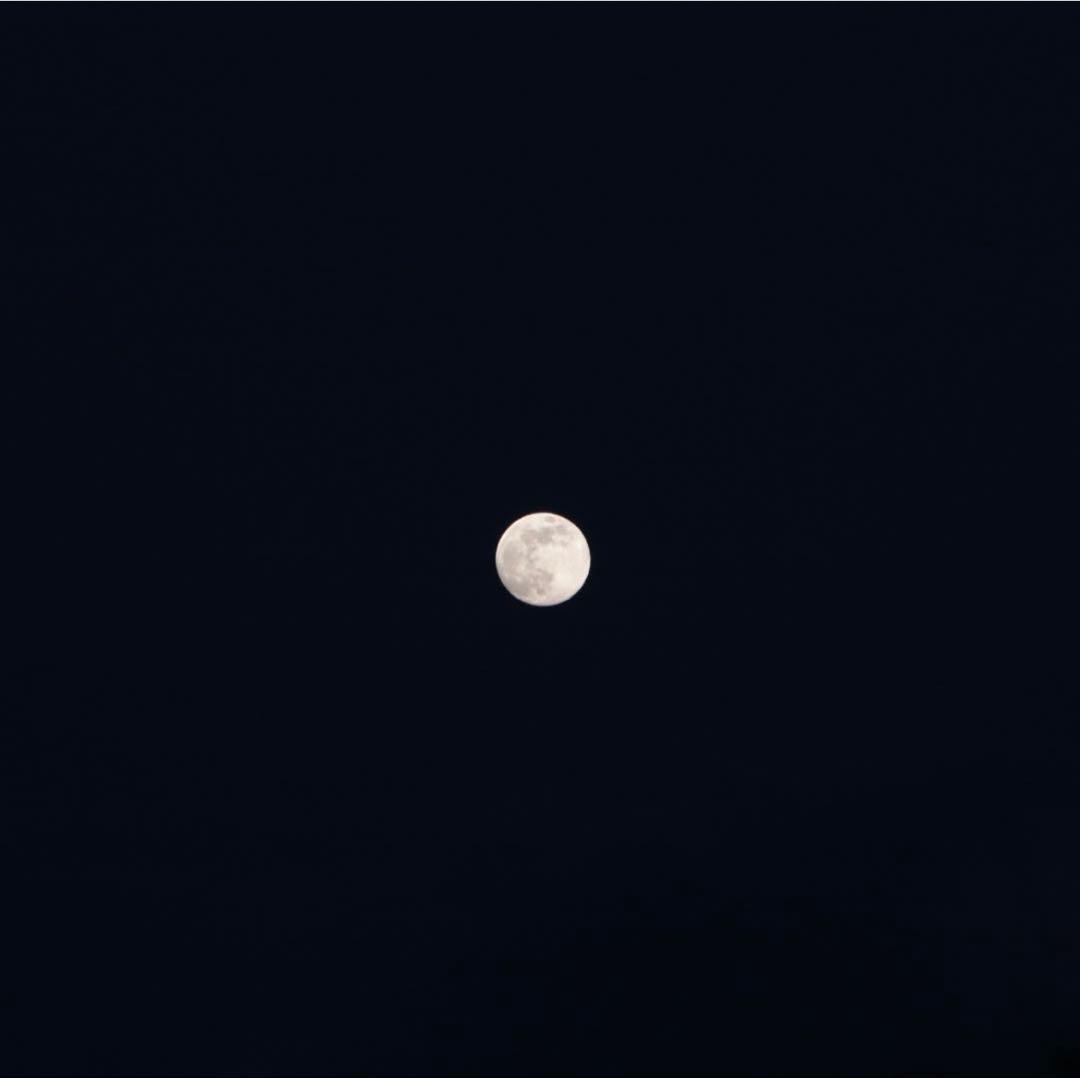 Canon 一眼レフカメラ EOS8000d SDカード付き