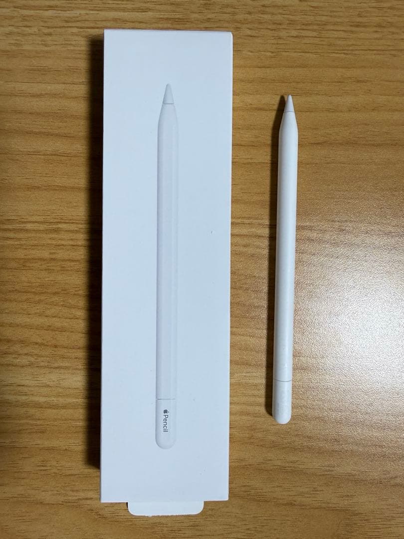 iPadアクセサリー Apple Pencil (USB-C) MUWA32ZA/A