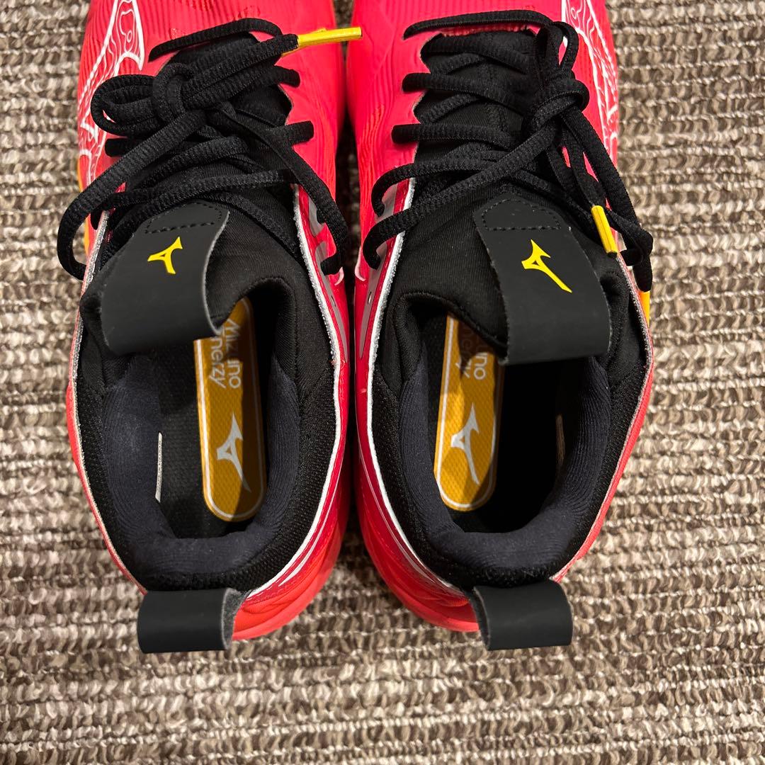 Mizuno バレーボールシューズ ウエーブモーメンタム3 28.0cm