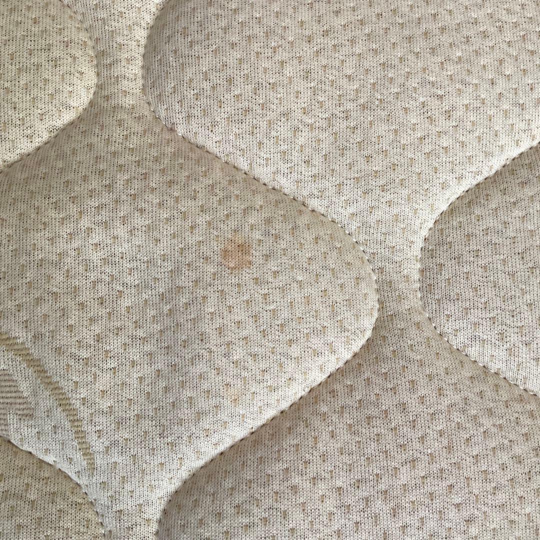 ラテックスマットレス　7zone20(ソフト)