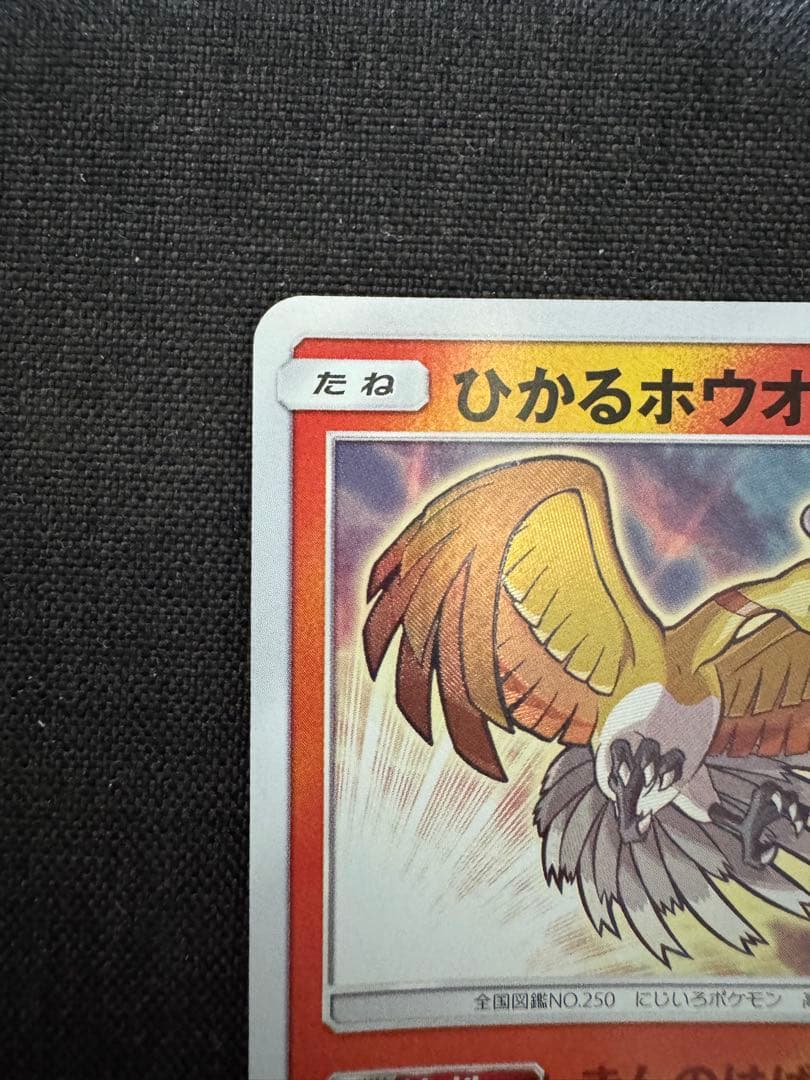 ひかるホウオウ