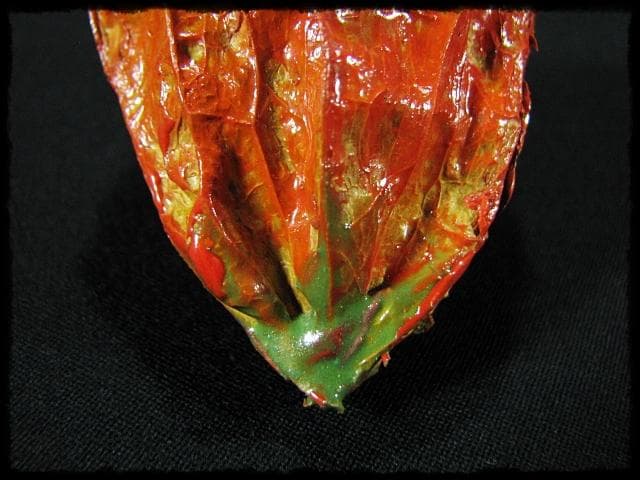 名工 田中 篁秋 鬼灯 ほうづき 宝月 香合 茶道具 e140