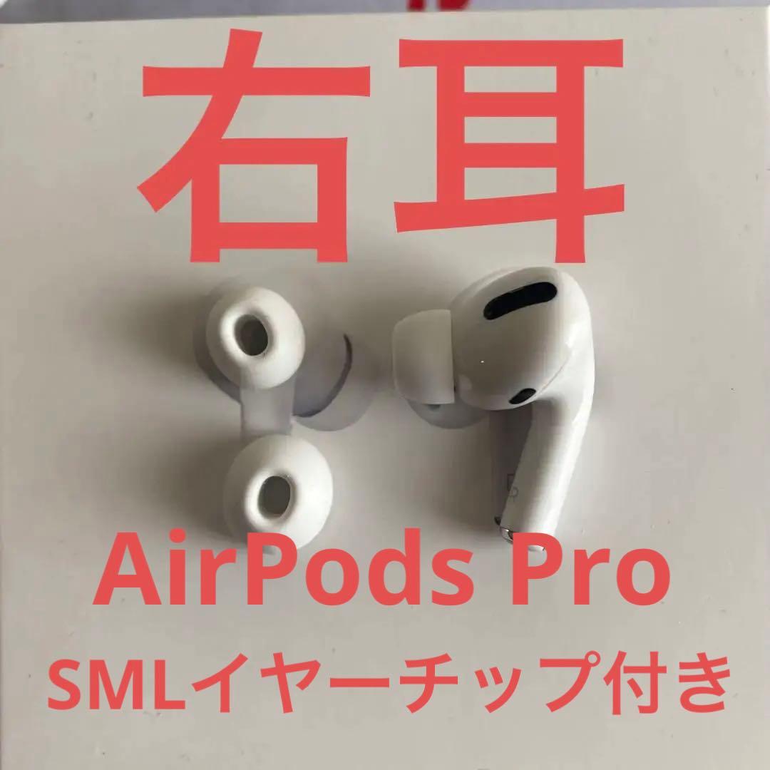 AirPods Pro MWP22J/A 右耳（R）　S M Lイヤーチップ付き
