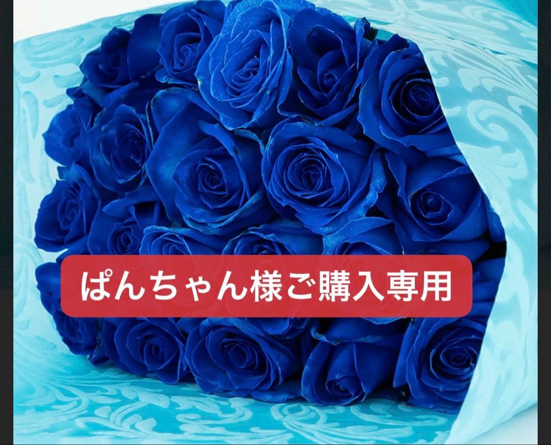 ぱんちゃん様のご購入専用