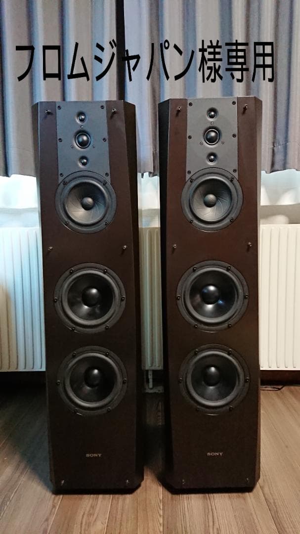 SONY ソニー SS-NA2ES　ペア