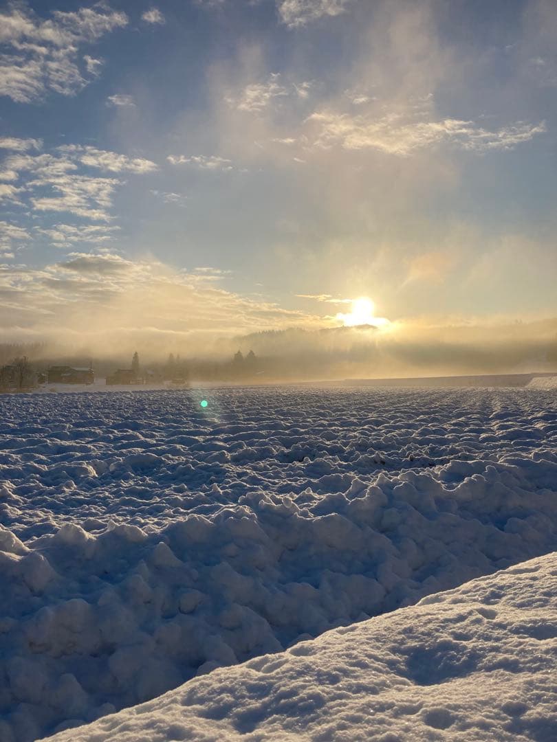 令和7年魚沼産コシヒカリ精米30kg