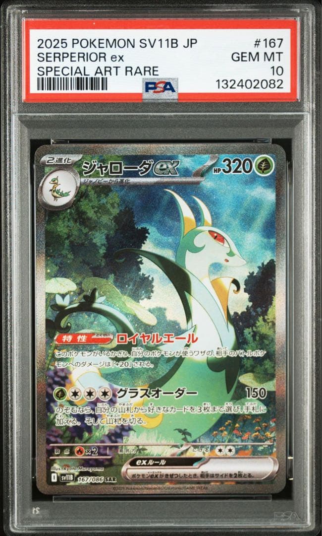 【PSA10】ポケモンカード　ジャローダex SAR ツタージャ　ジャノビー