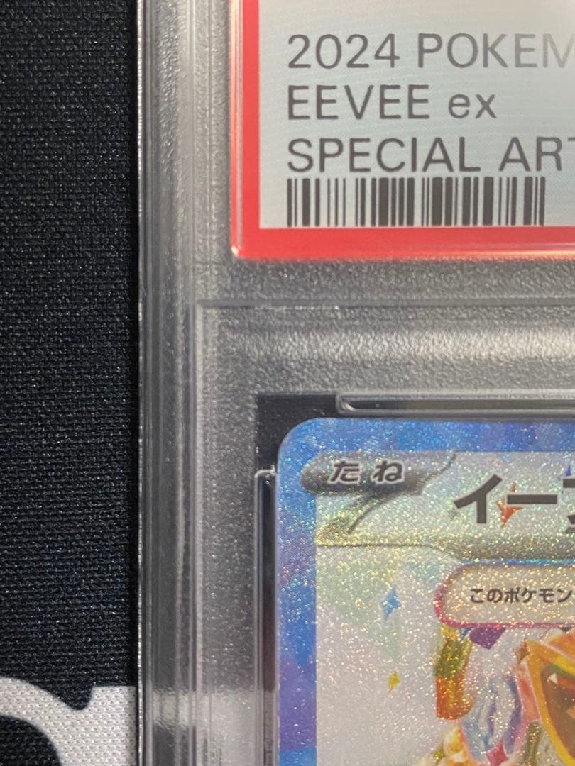 【PSA10】ポケモンカード イーブイex SAR ケーキ テラスタルフェスex